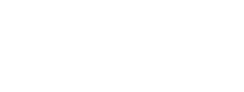 Elevora Footer logo